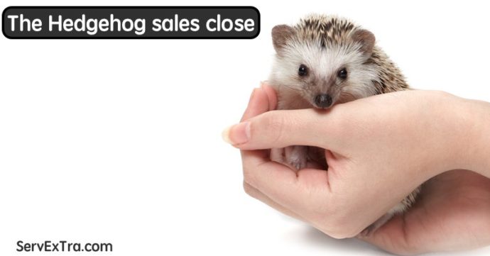 Hedgehog sales close