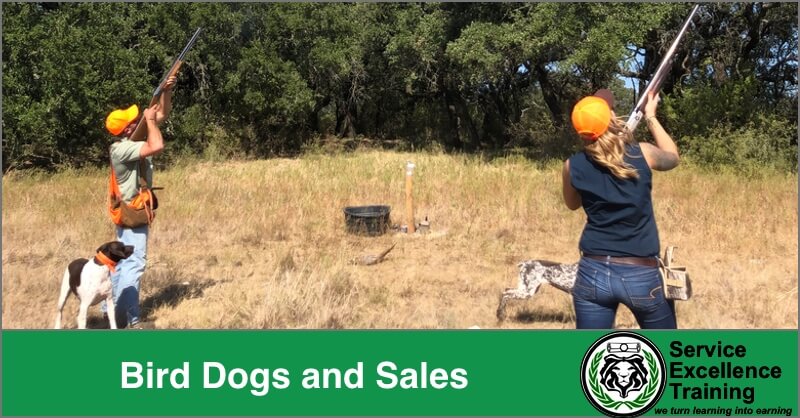 Two people in orange hats aim shotguns in a field while two dogs watch nearby. The text overlay says, "Bird Dogs and Sales, Service Training Excellence—coaching you for success in home services.